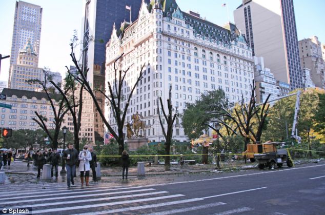 Stripped: All the trees at New York's luxurious Plaza hotel, opposite Central Park, were destroyed